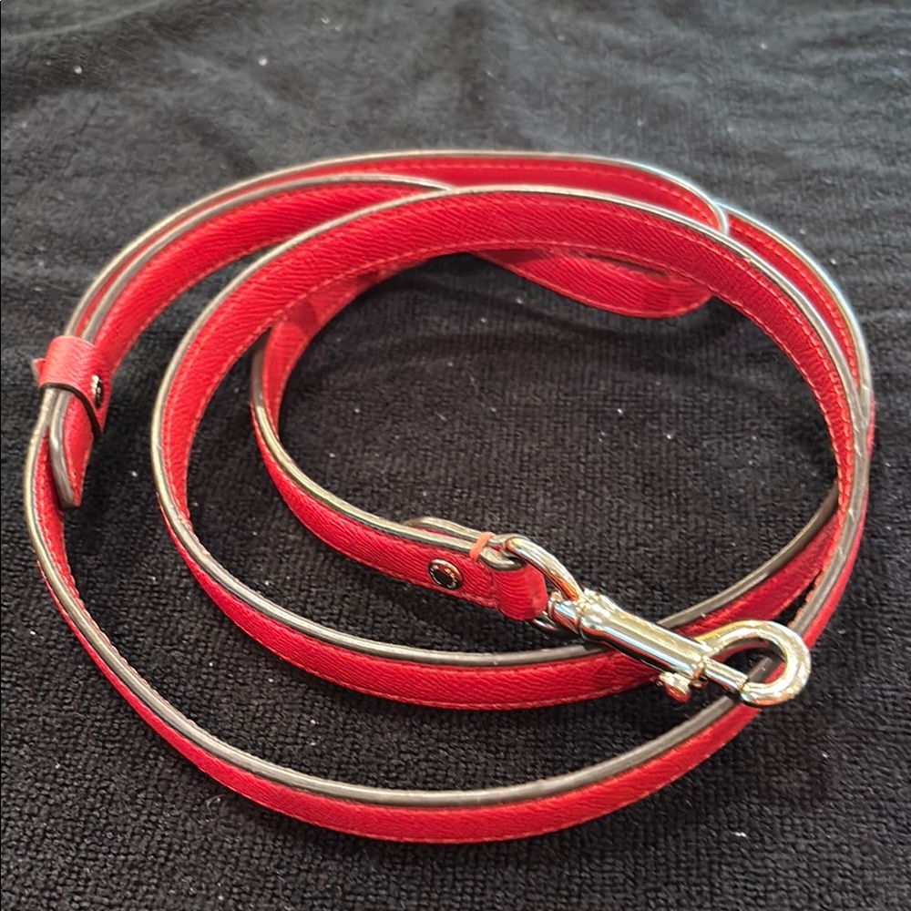 Red Leather Dog Leash